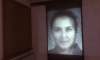 Physio.G(e)nom generative Videoinstallation/ brigitte felician siebrecht
