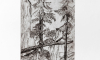 Elbsandsteingebirge / Kaltnadel 1992