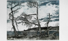 Scilly Islands / Radierung 1984