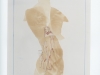venus_vs_playmate