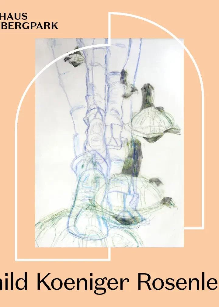 27.9. –18.10. 2026 „Was bleibt sind Bilder & Geschichten – 55 Jahre Grafik“ | Irmhild Koeniger-Rosenlecher |  Städtische Galerie Torhaus, Dortmund